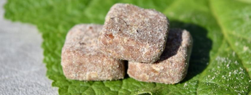 prevent moldy pet chews
