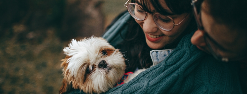 Pet Business Start-Up